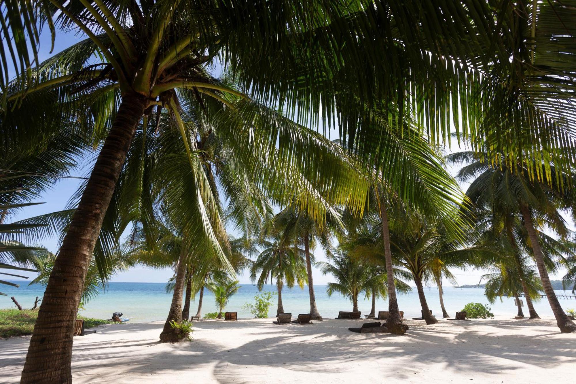 Tamu Koh Rong Otel Pagoda Beach Dış mekan fotoğraf